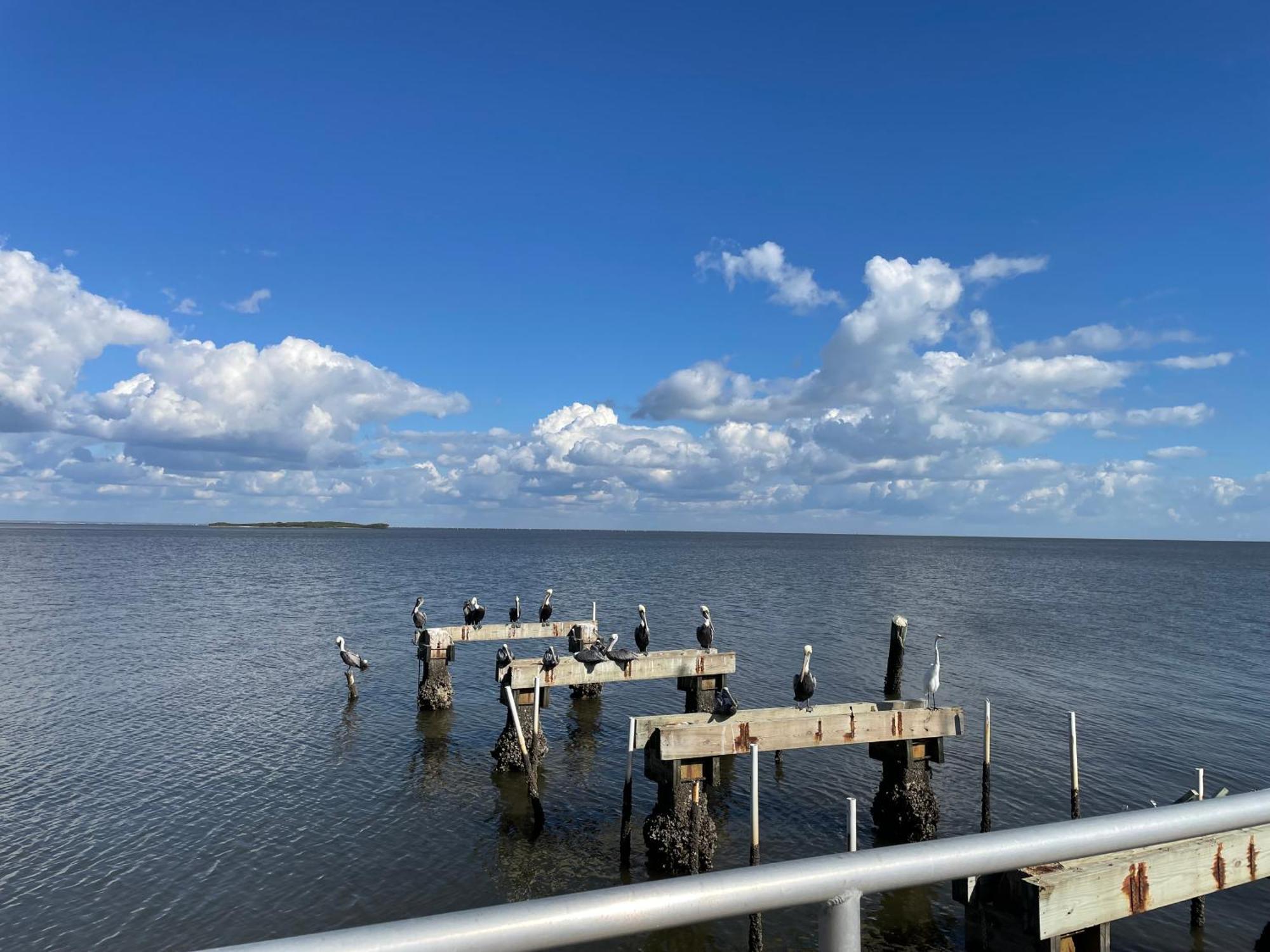 Cedar Key Florida Condo At Park Place Extérieur photo
