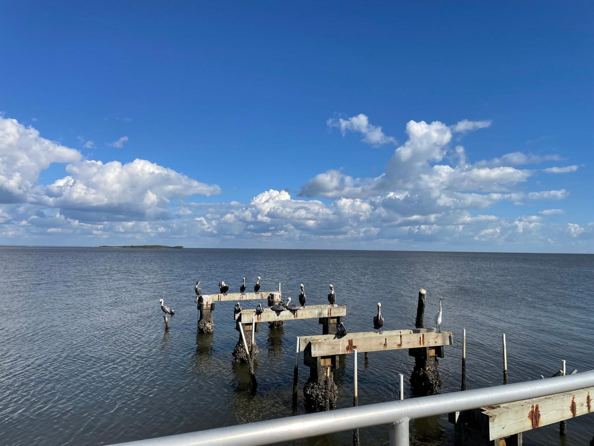 Cedar Key Florida Condo At Park Place Extérieur photo